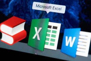 Microsoft Excel 2016 Level 1